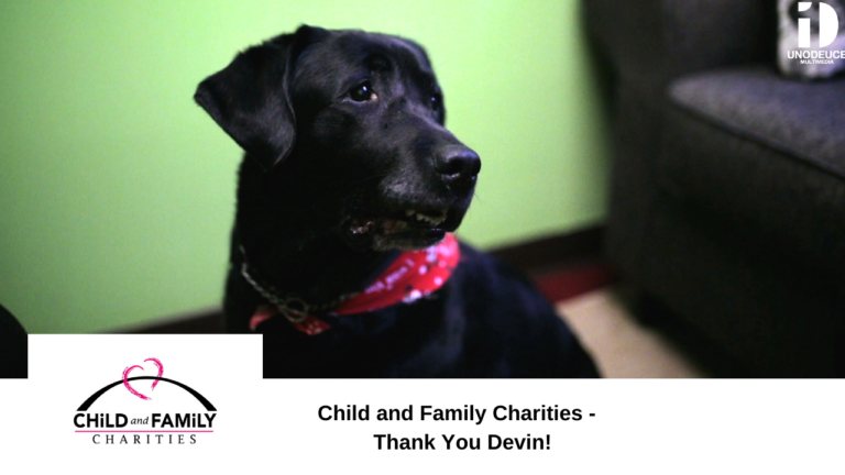 shot of devin a black labrador retriver